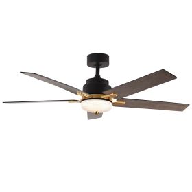 52 Inch Downrod Ceiling Fans with Lights and Remote Control, Modern Outdoor Indoor Black 5 Blades LED Lights Smart Ceiling Fans for Bedroom, Living Ro