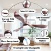 52inch Ceiling Fans with Lights, 3 ABS Fan Blades, Classical Style Fan with Remote Control, Noiseless Reversible DC Motor for Patio/Bedroom/Living Roo